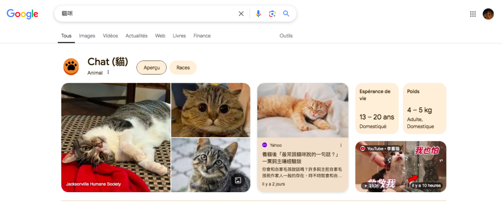 系列圖片資訊，搜尋「貓咪」時，搜尋結果提供的內容以圖片為主