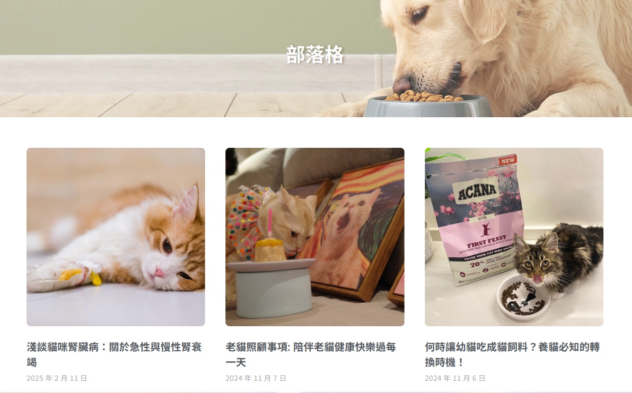 透過寵物專欄深化品牌內容，提升SEO與用戶黏著